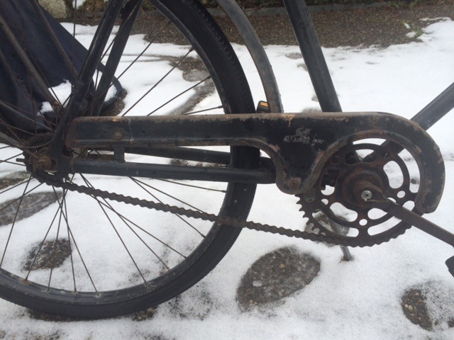 COSMOS Kettenblatt mit typischer Lochung