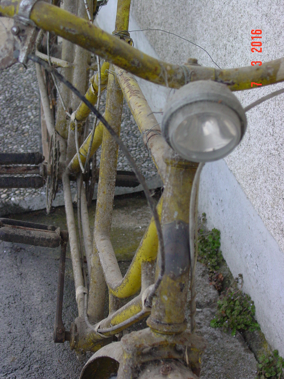 DSC05001.JPG