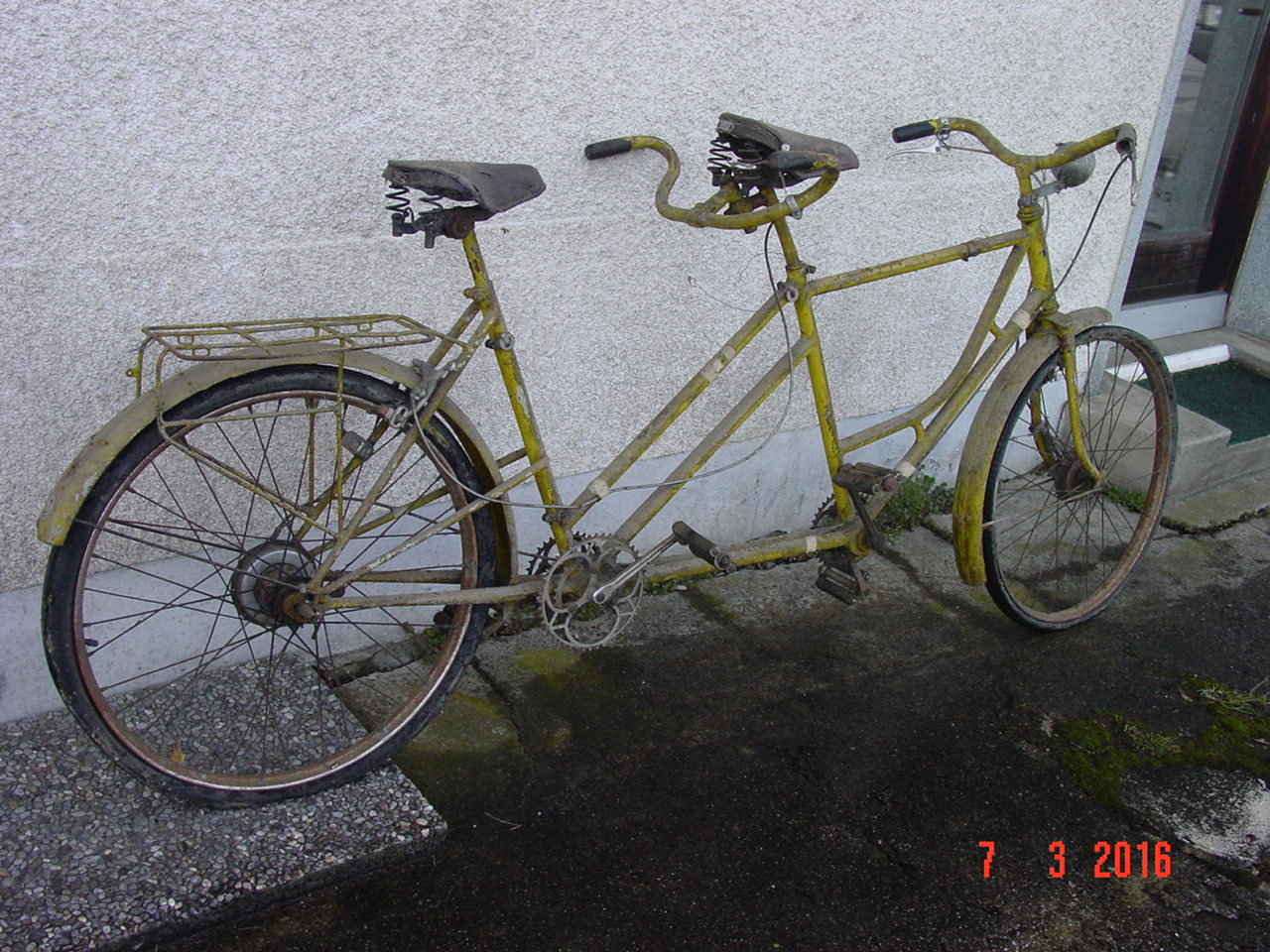 DSC05000.JPG
