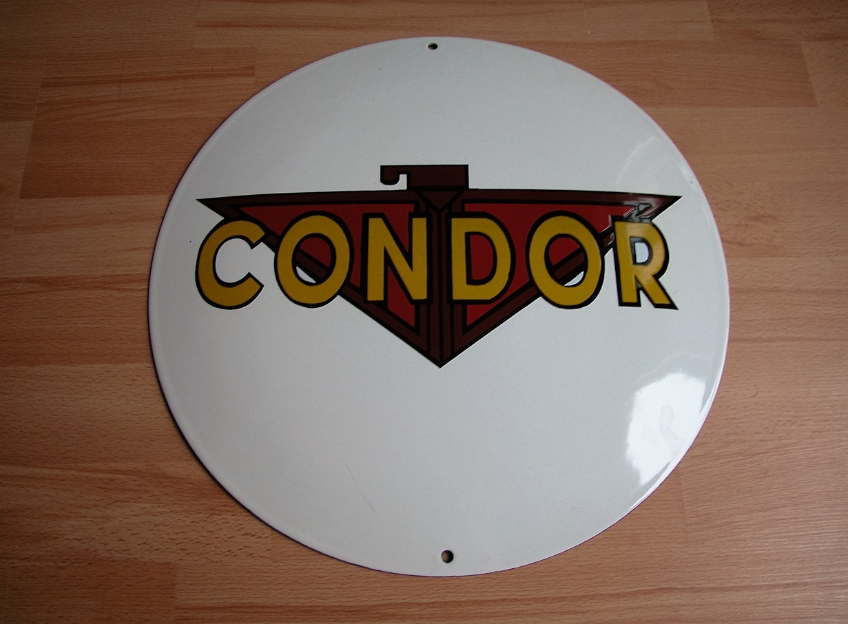 Condor2 40cm.JPG