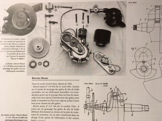 Moser allover mit Details und Schnitten etc