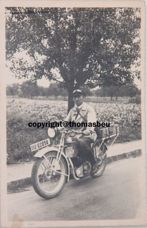 ardie.jpg