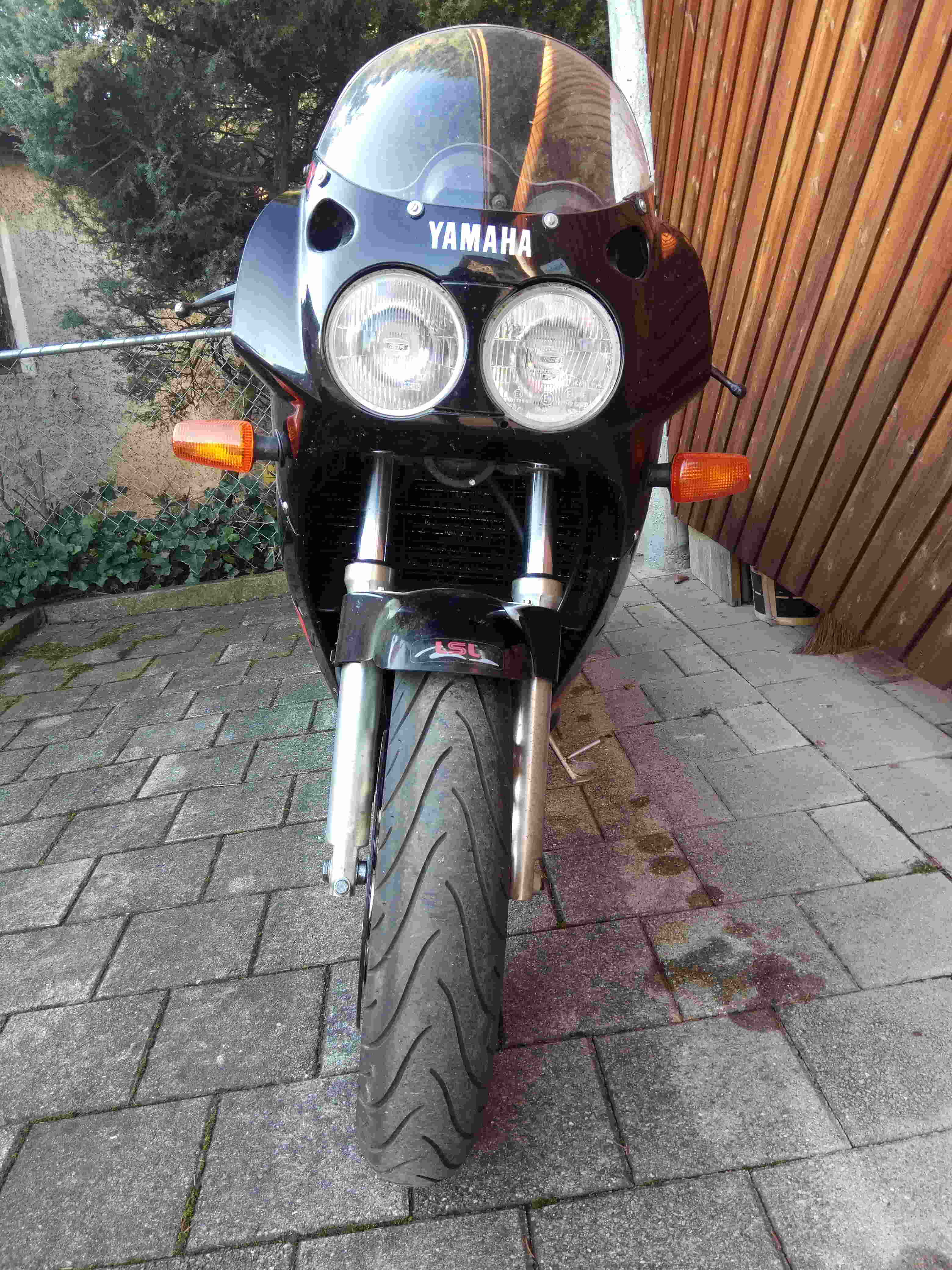 MVIMG_20210301_083800_s.jpg