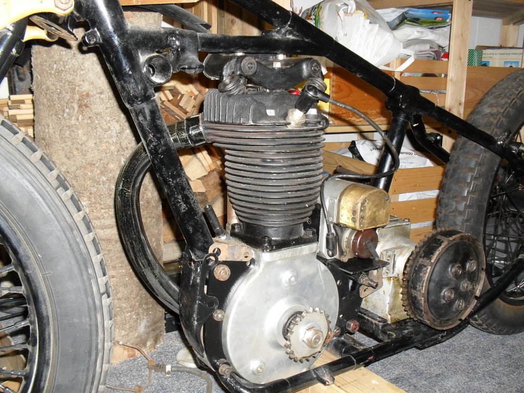 Ariel; August 2009 001.JPG