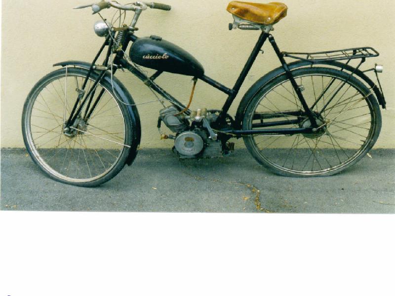 CuccioloA.jpg
