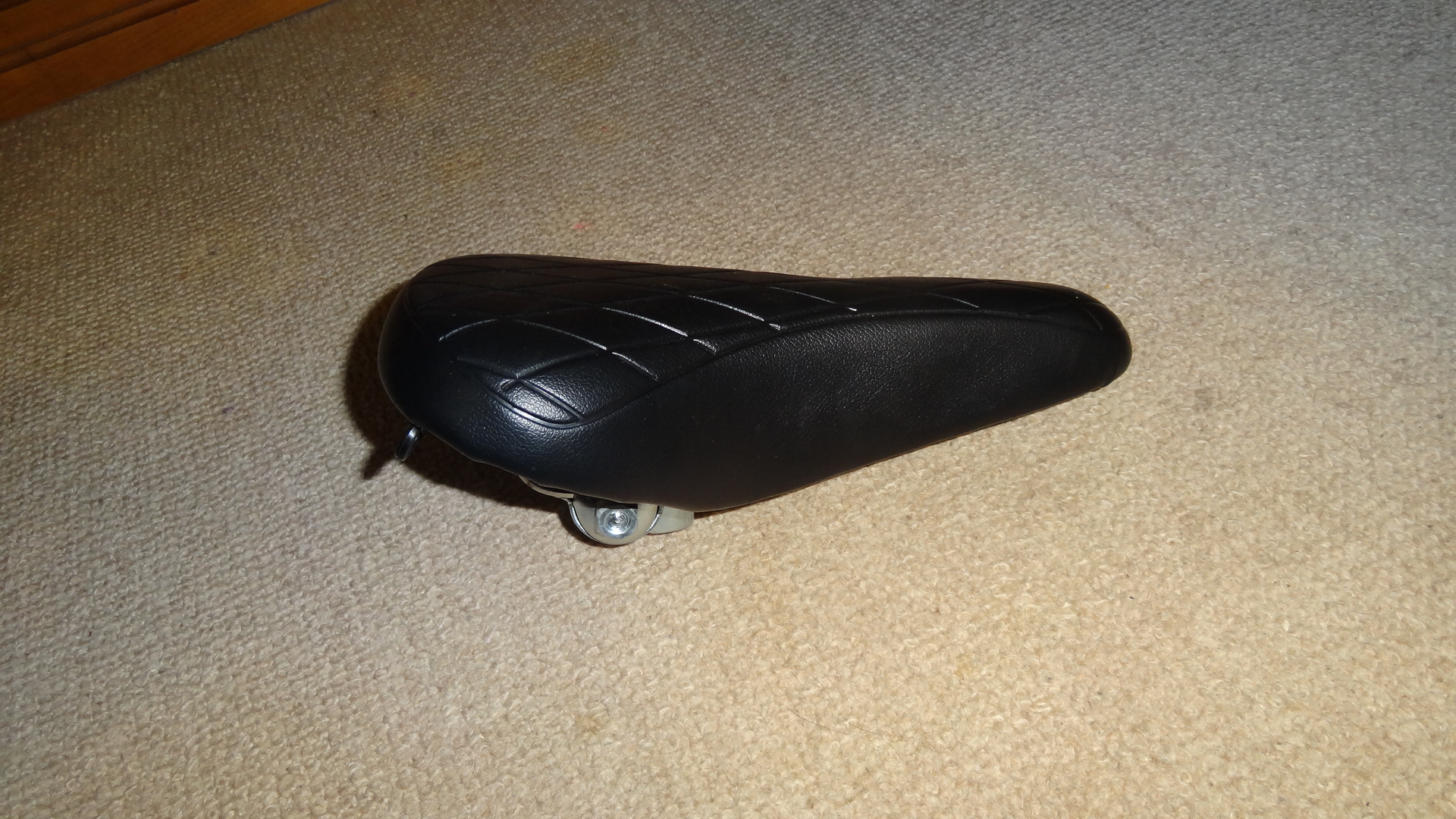 DSC08075.jpg