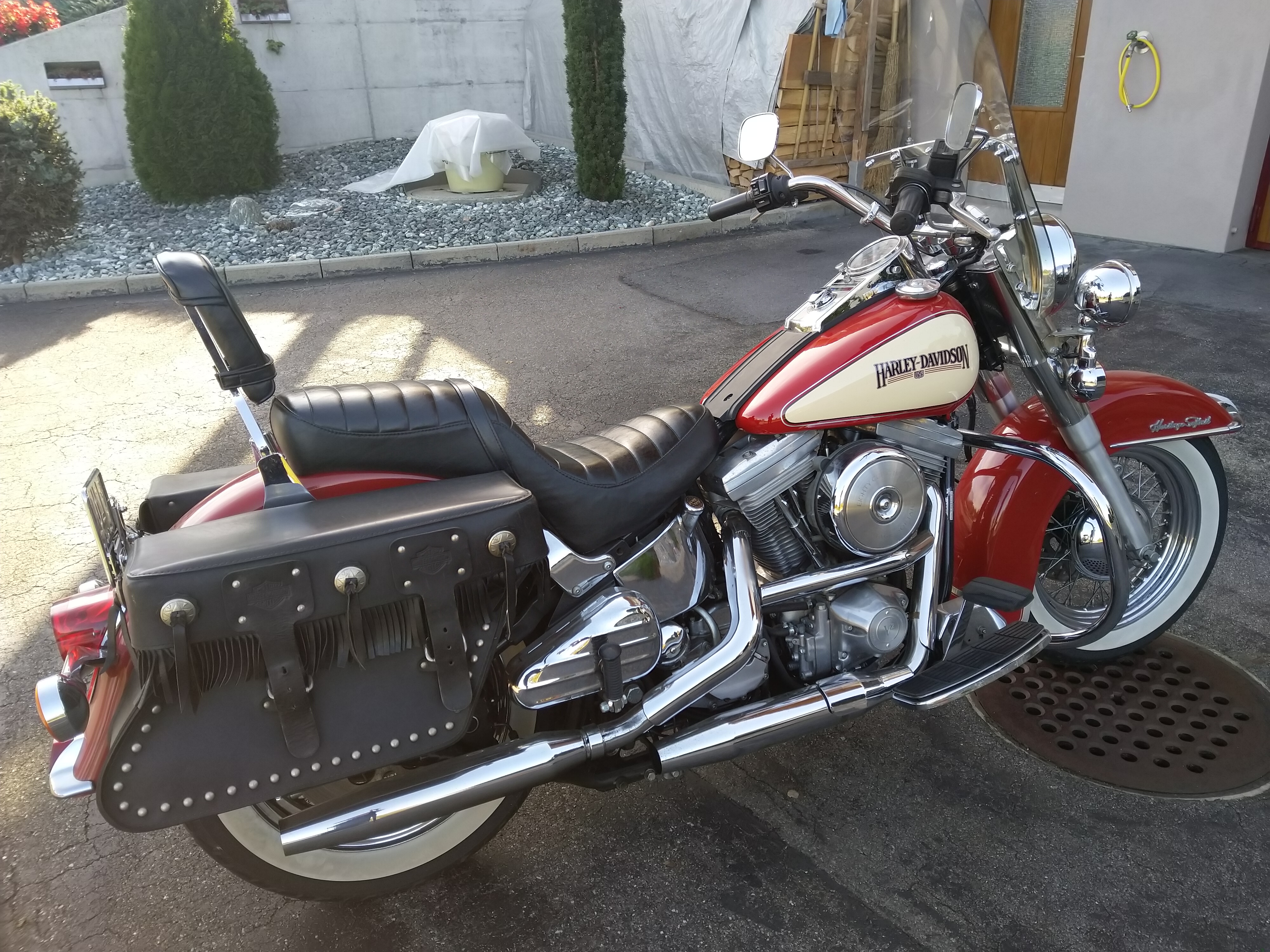 Harley I.jpg