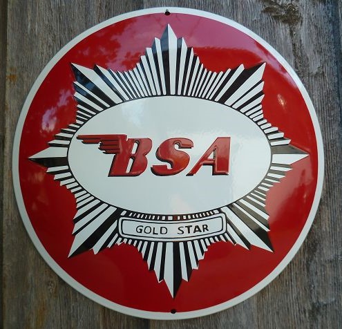 BSA2 40cm.JPG