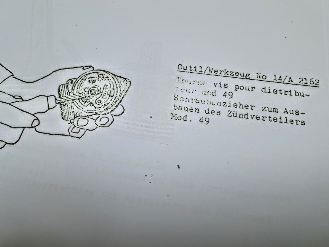BRA....jpg