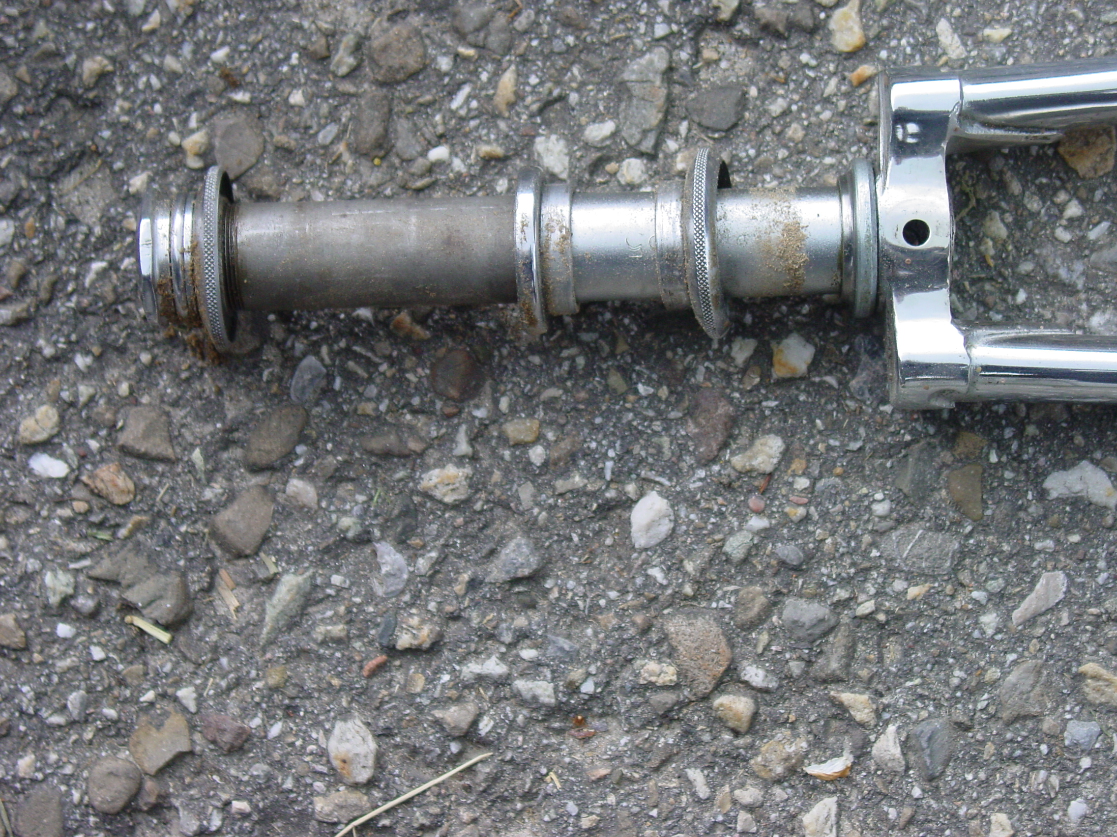 DSC00264.JPG