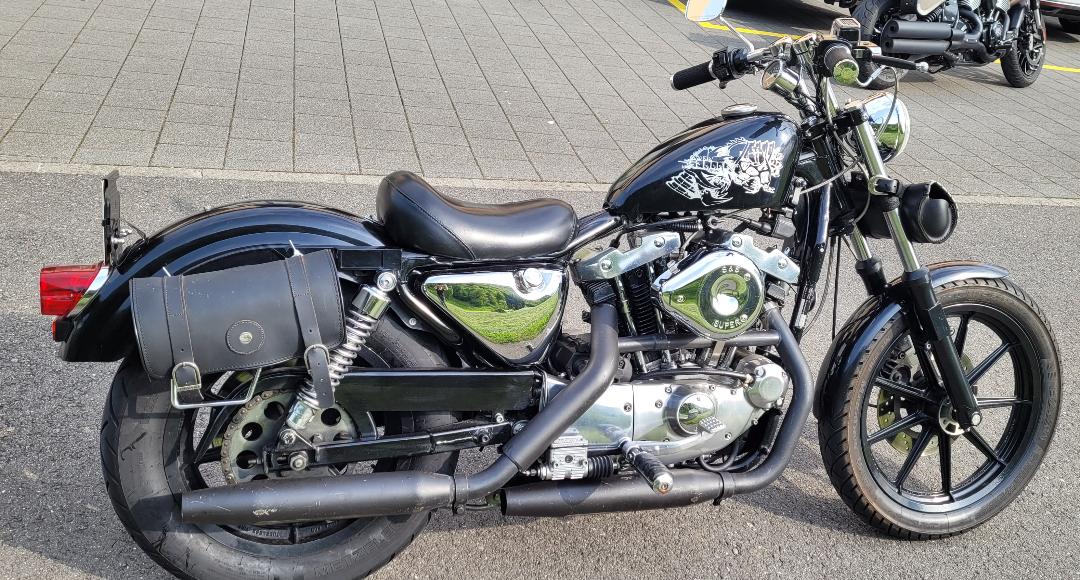 Sportster_Iron1.jpg