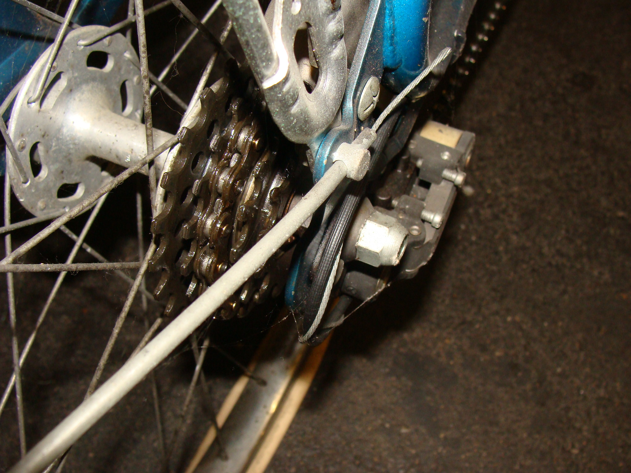 DSC09294.JPG