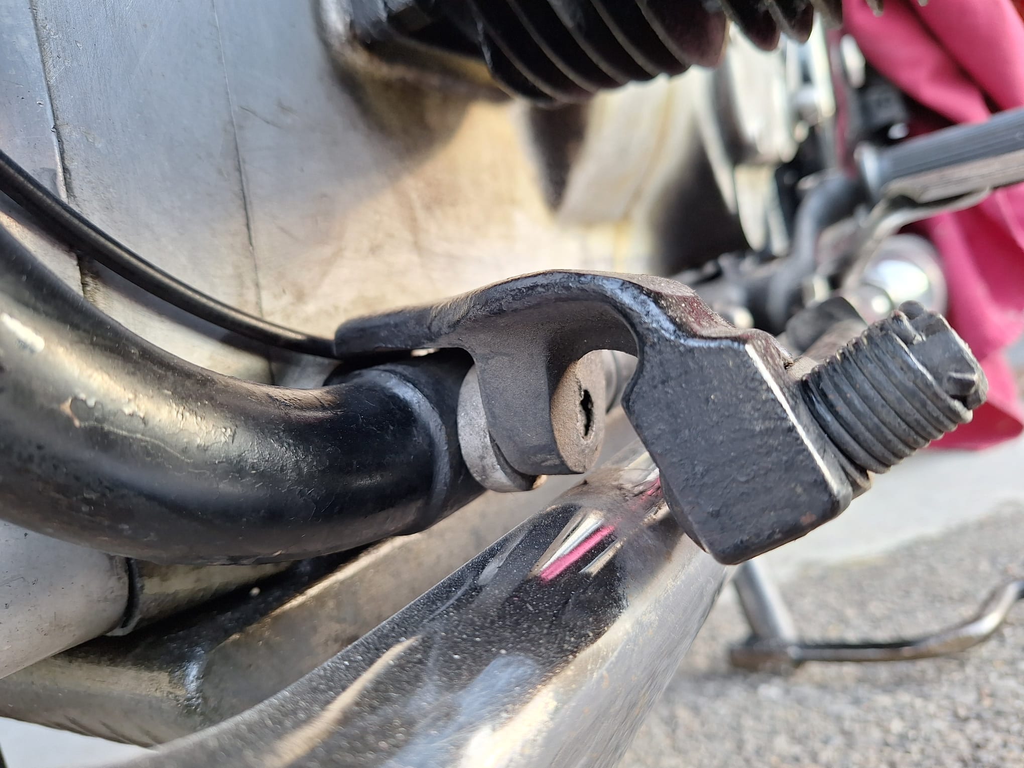 WhatsApp Image 2026-02-23 at 16.53.37.jpeg