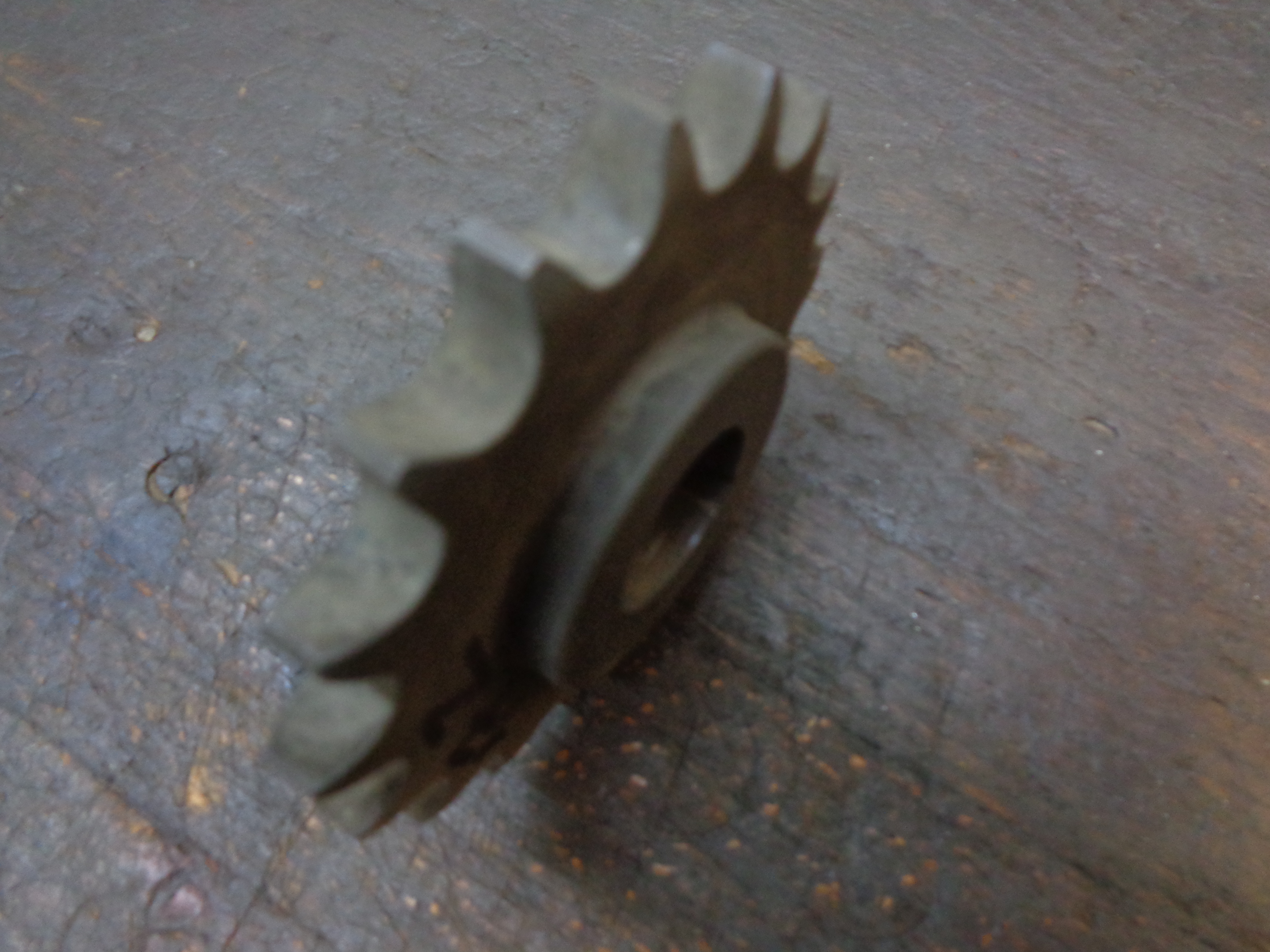 DSC08409.JPG