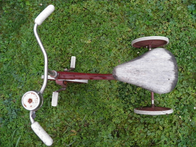 Aus der Vogelperspektive (jugendfrei)