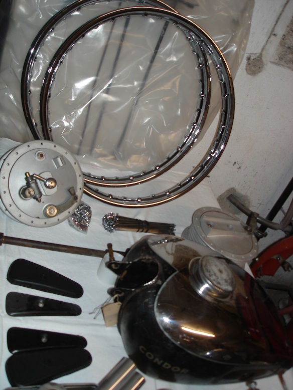 DSC01780_klein.jpg