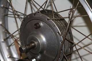 IMG_2813.jpeg