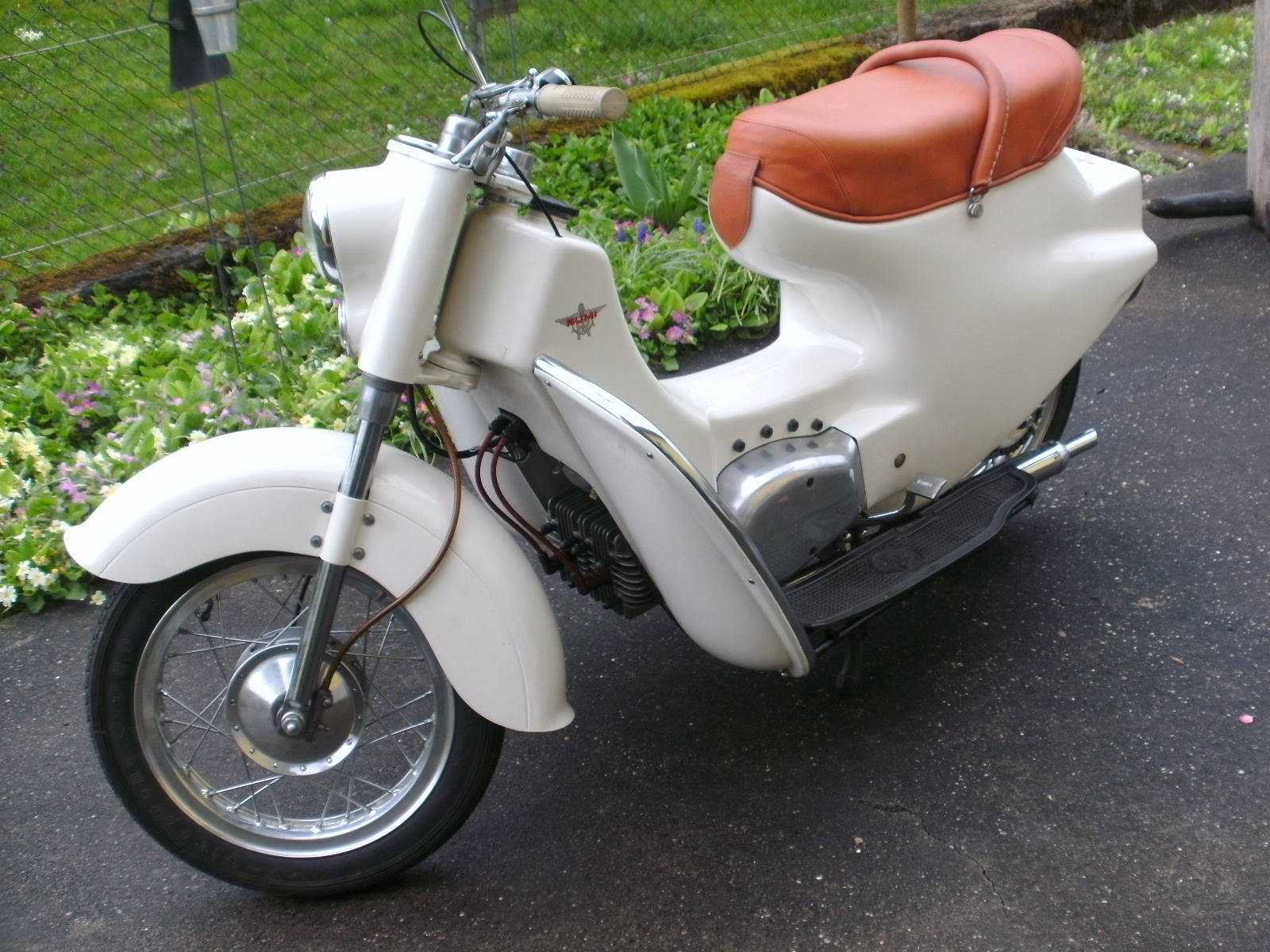 BILD0580.JPG