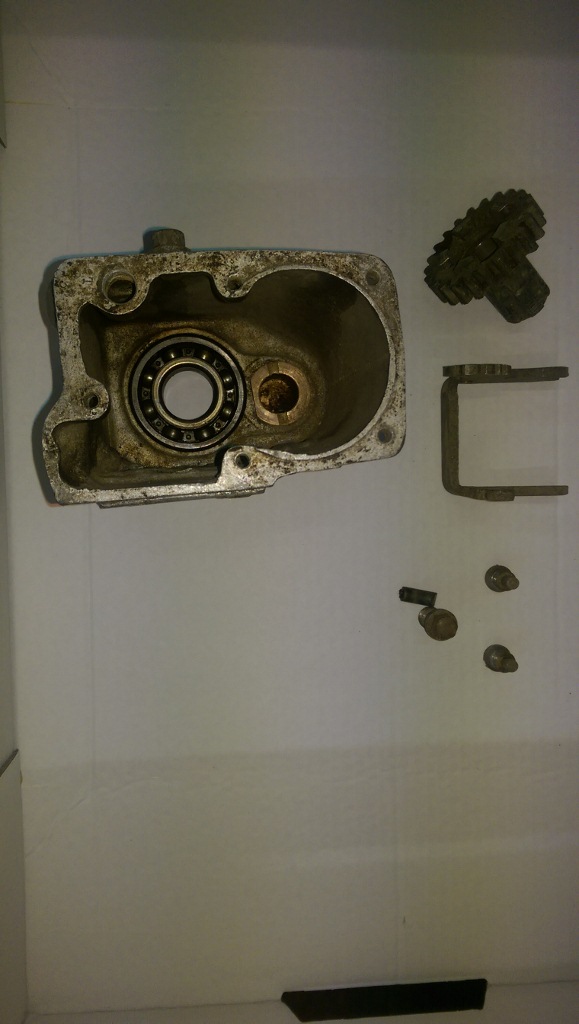 IMAG1390 (579x1024).jpg