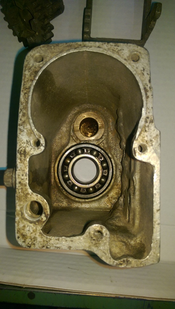IMAG1391 (579x1024).jpg