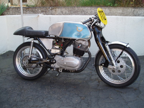 P4080007 Kopie.jpg