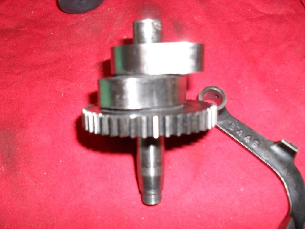 SDC10904.JPG