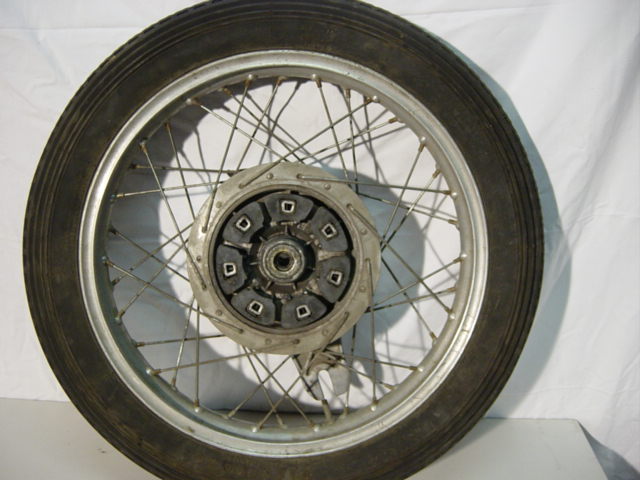 DSC00558.JPG