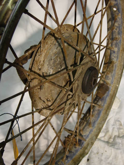 DSC00555.JPG