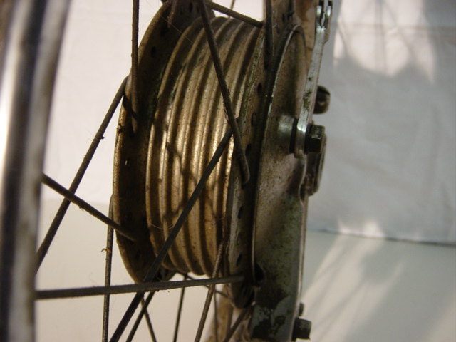 DSC00572.JPG