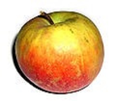 Apfel.jpg